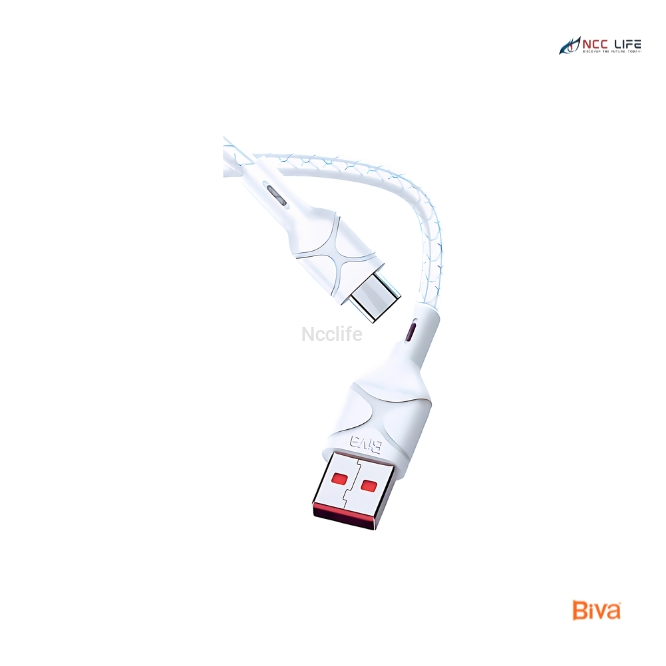 BIVA USB to Type-C Data Cable – Model C-06T (1M)