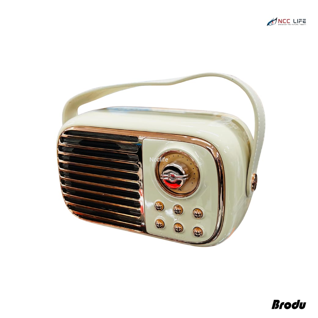 BTS-1956 Karaoke Bluetooth Speaker – Portable Wireless Party Speaker with Mic Support