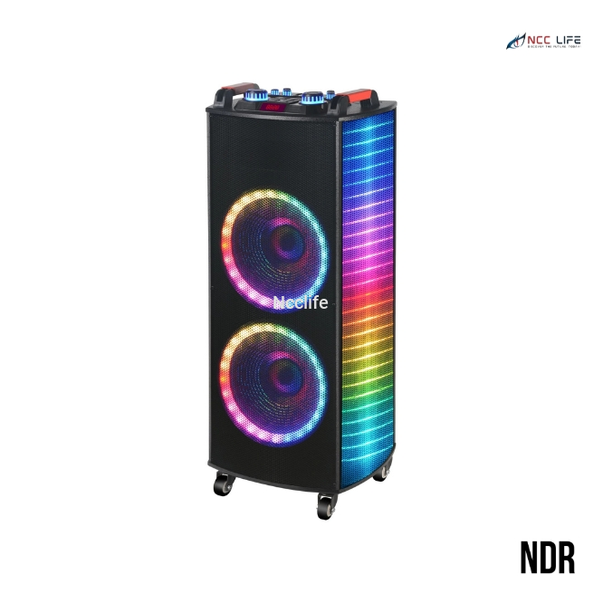 NDR 1212S Bluetooth Speaker