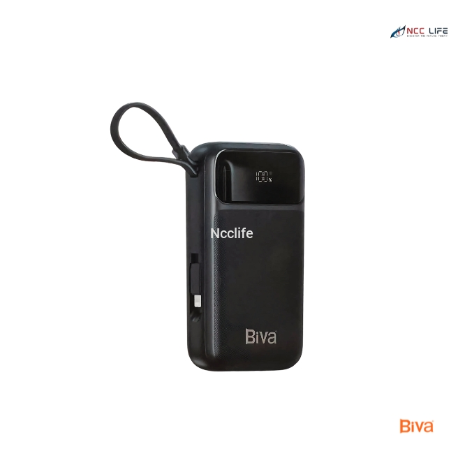 BIVA 20000mAh Fast Charge Power Bank (Model BP-017)