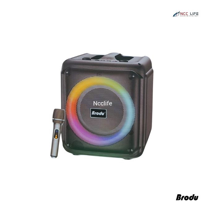 Brodu BTS-1935 Karaoke Speaker – 6.5" Portable Bluetooth Party Speaker