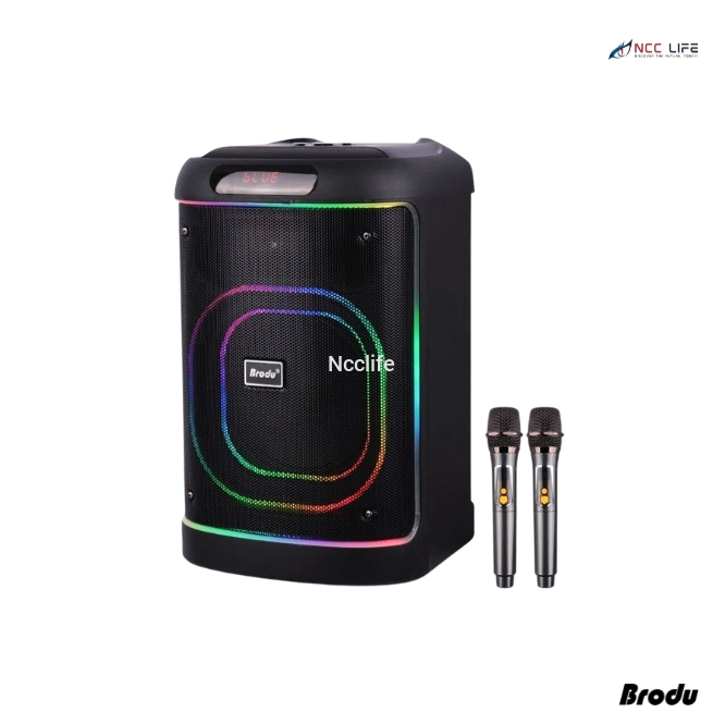 Brodu BTS-2105 Karaoke Bluetooth Speaker – 8" Inch with Dual Microphone & RGB Light