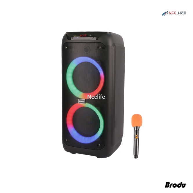 Brodu BTS-2173 Bluetooth Karaoke Party Speaker – 8" Inch with RGB Lights & Mic Support